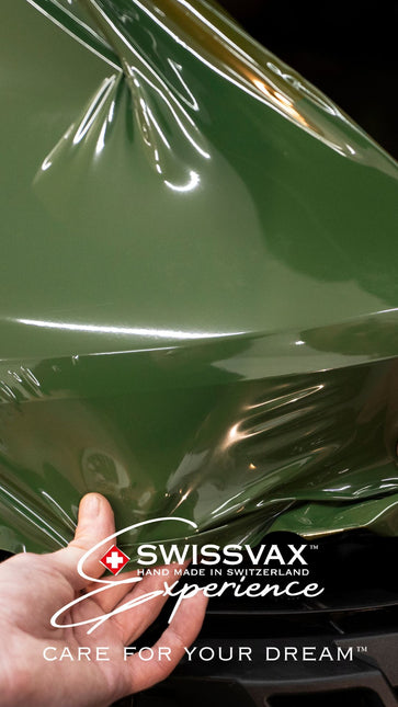 PPF EXPERIENCE WORKSHOP